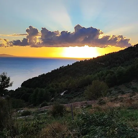 Kameni Cvijet Apartamento Murvica (Brac)