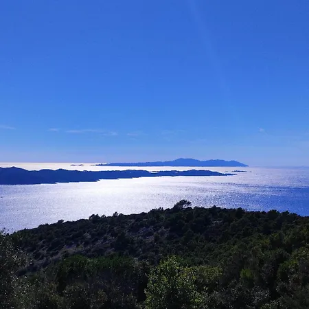 Kameni Cvijet Lejlighed Murvica (Brac)