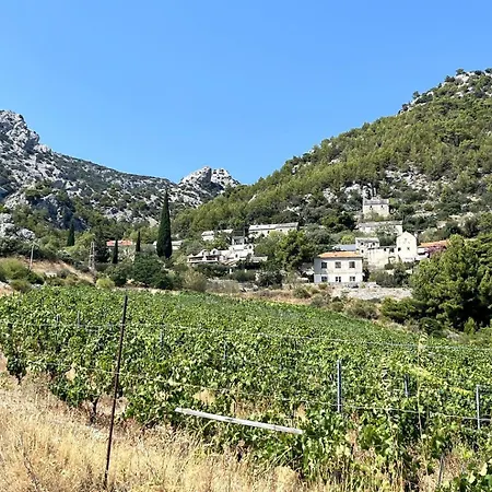 Lejlighed Kameni Cvijet *