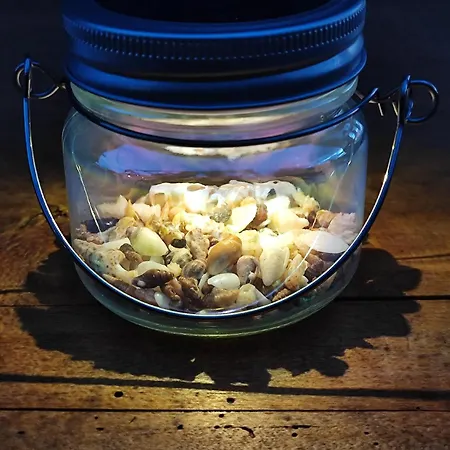 Lejlighed Kameni Cvijet Murvica (Brac)