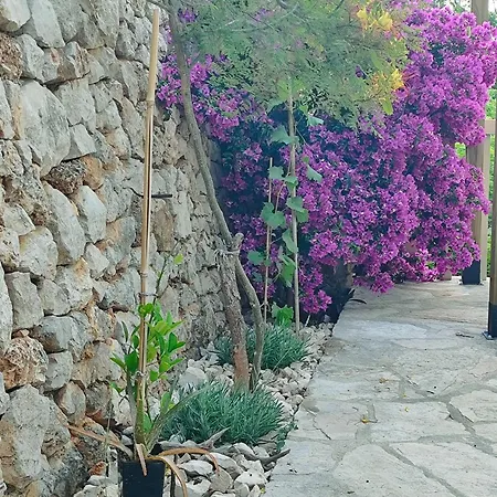 Kameni Cvijet Apartment Murvica (Brac)