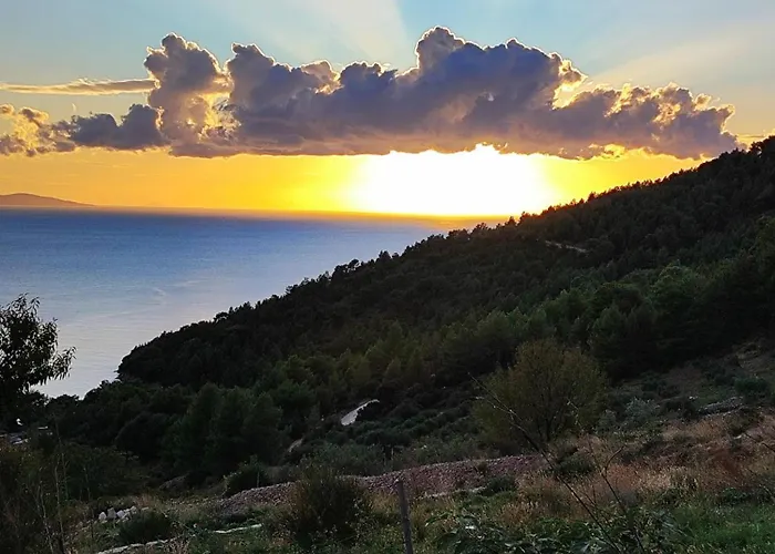 Kameni Cvijet Apartamento Murvica (Brac)