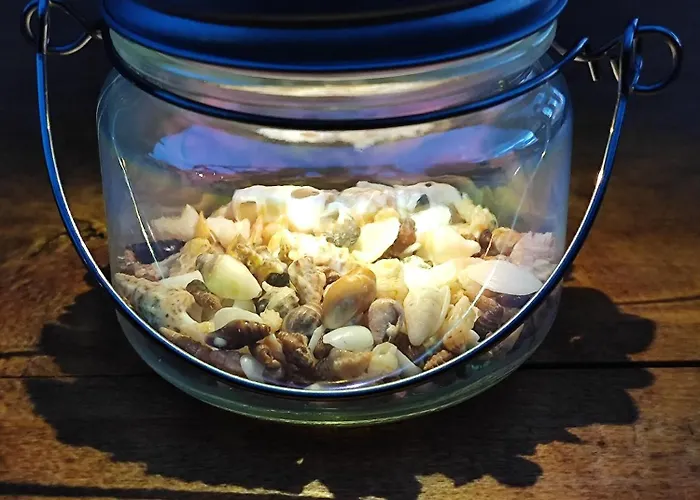 Apartamento Kameni Cvijet Murvica (Brac)